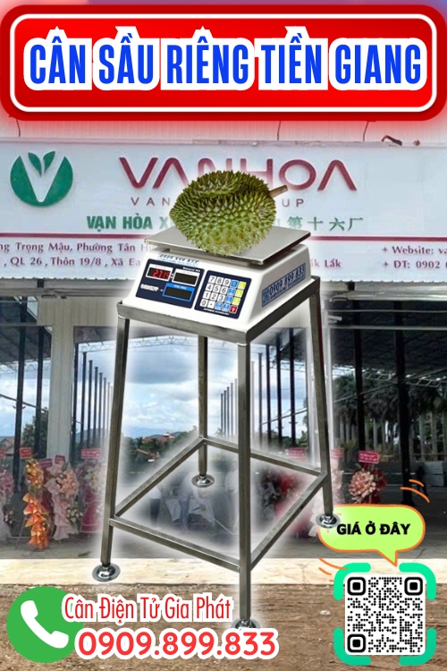 Cân điện tử cân sầu riêng 100kg 200kg 300kg ở Tiền Giang - vựa vạn hòa